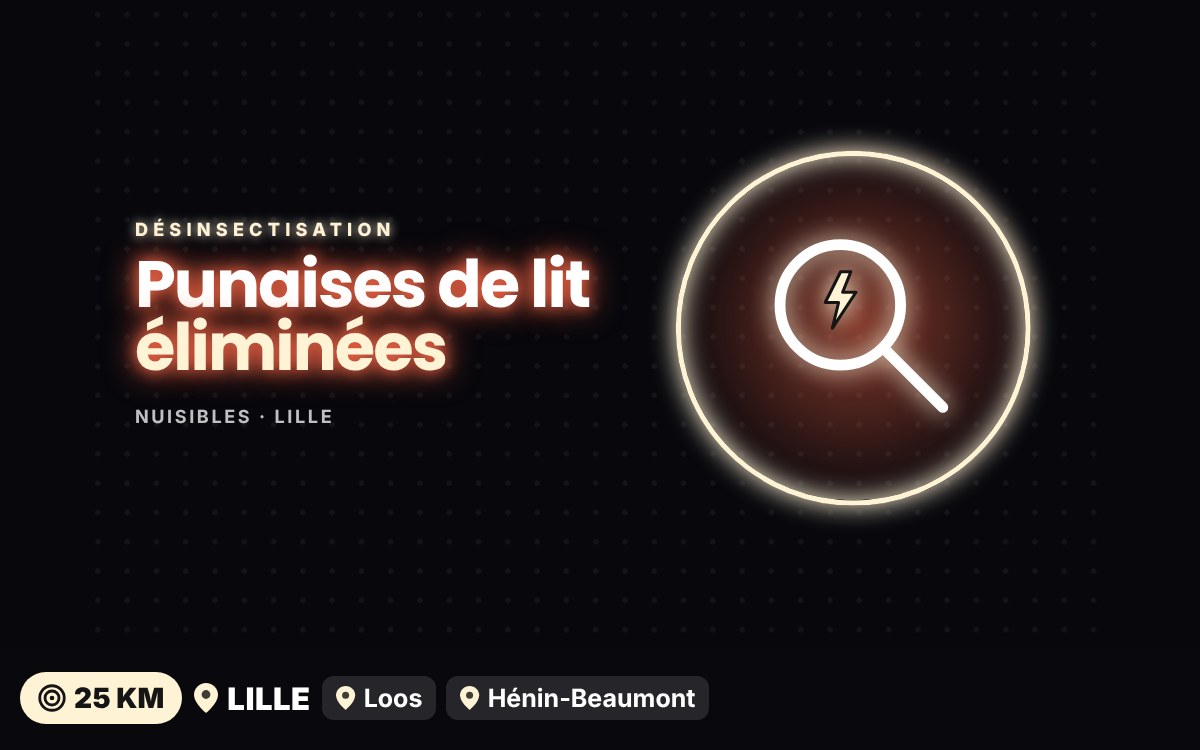 Je vais traiter les punaises de lit dans votre logement à Tourcoing