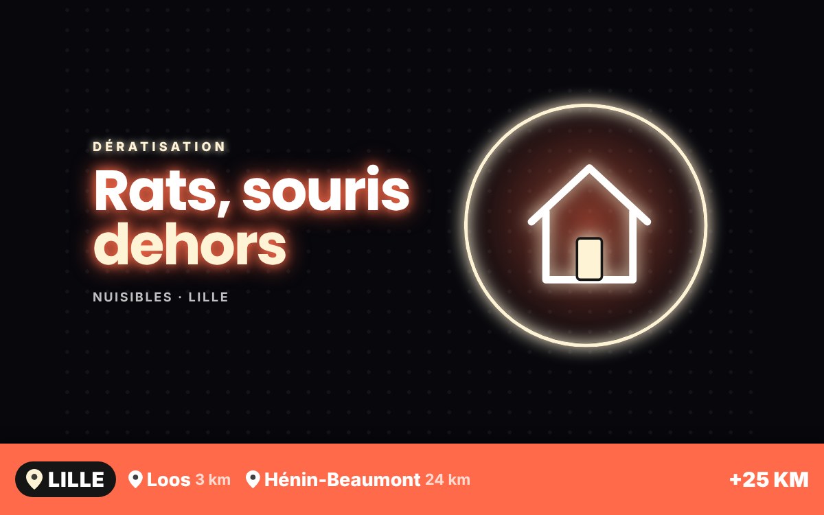 Je vais dératiser votre maison ou votre appartement à Tourcoing