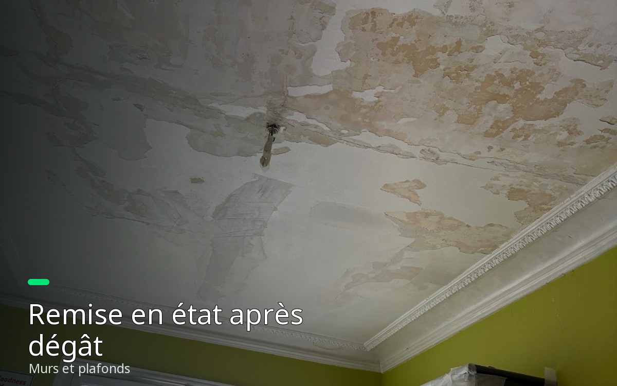 Je vais remettre en état murs et plafonds après un dégât à Saint-Cloud