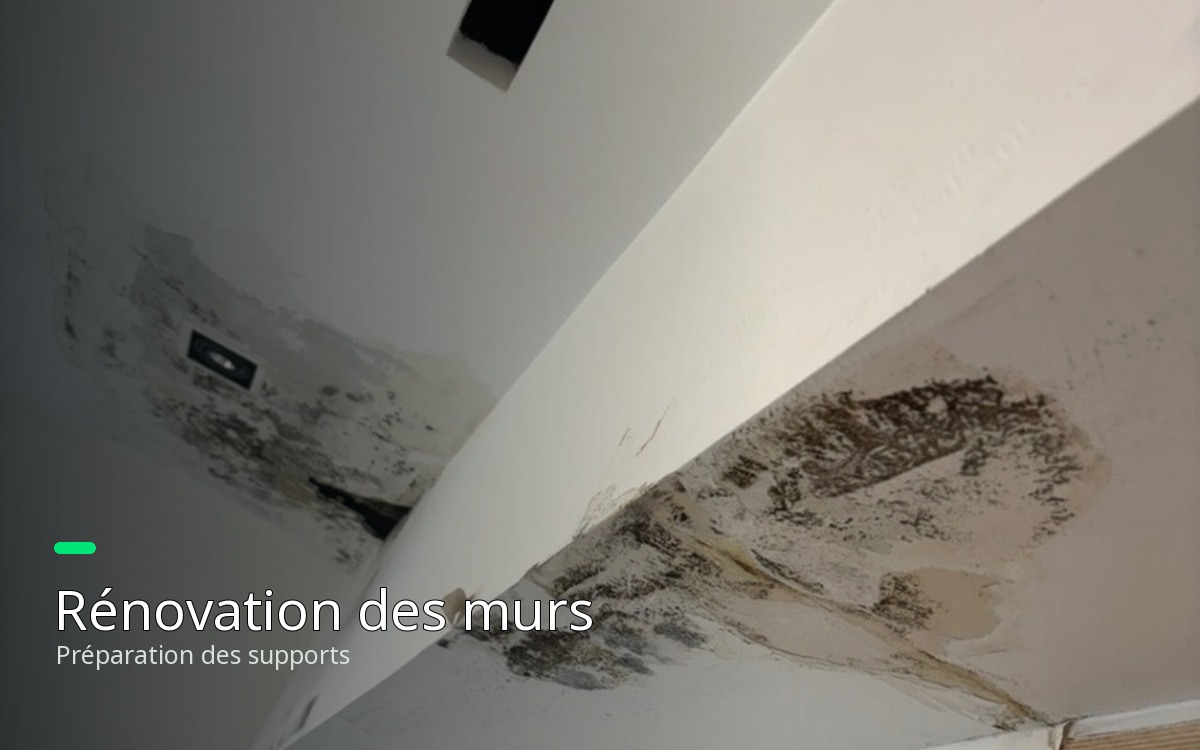 Je vais préparer et rénover vos murs abîmés à Saint-Cloud
