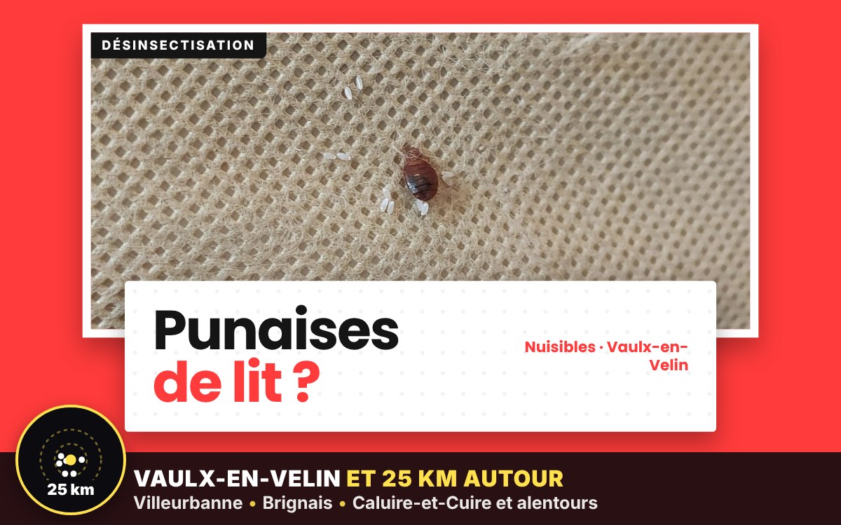 Je vais vous débarrasser des punaises de lit à Écully