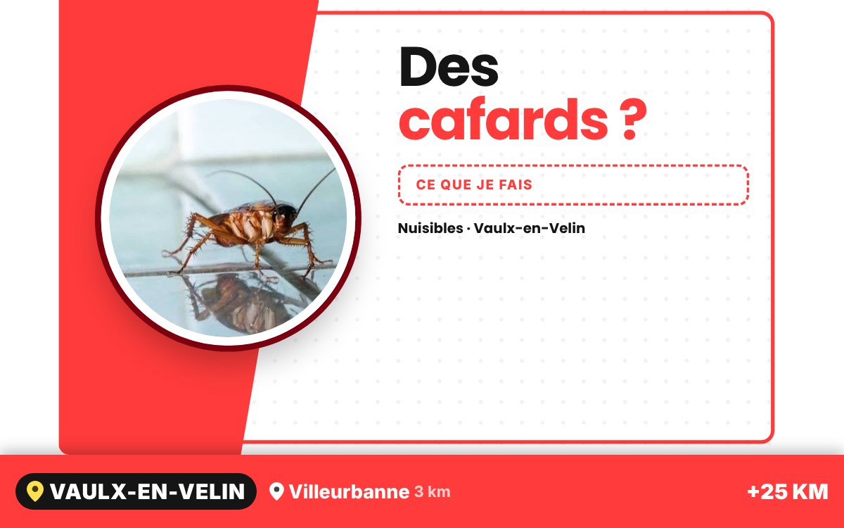 Je vais vous débarrasser des cafards et des blattes à Écully