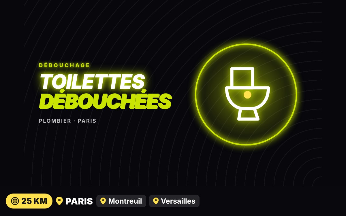 Je vais déboucher vos toilettes à Paris