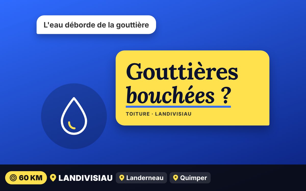 Je vais nettoyer vos gouttières à Quimper
