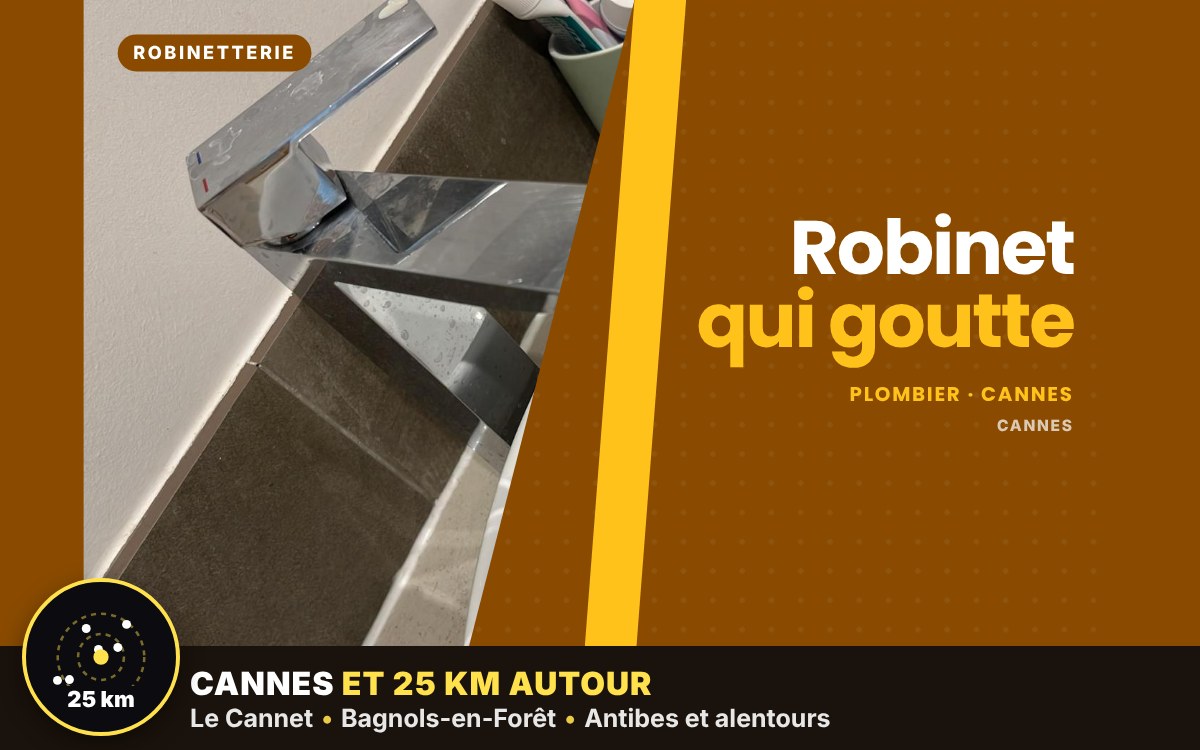 Je vais réparer votre robinet qui goutte à Villeneuve-Loubet