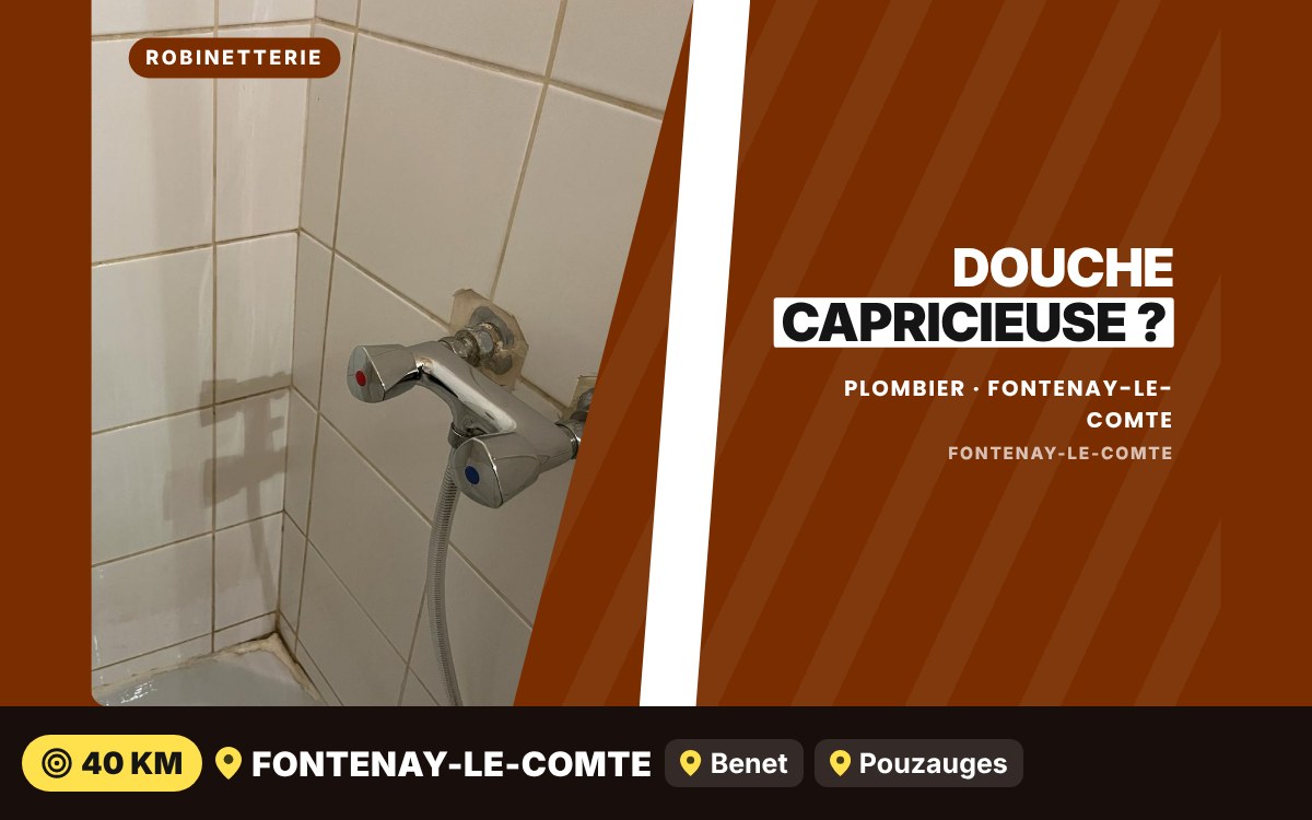 Je vais remplacer votre mitigeur de douche à Niort