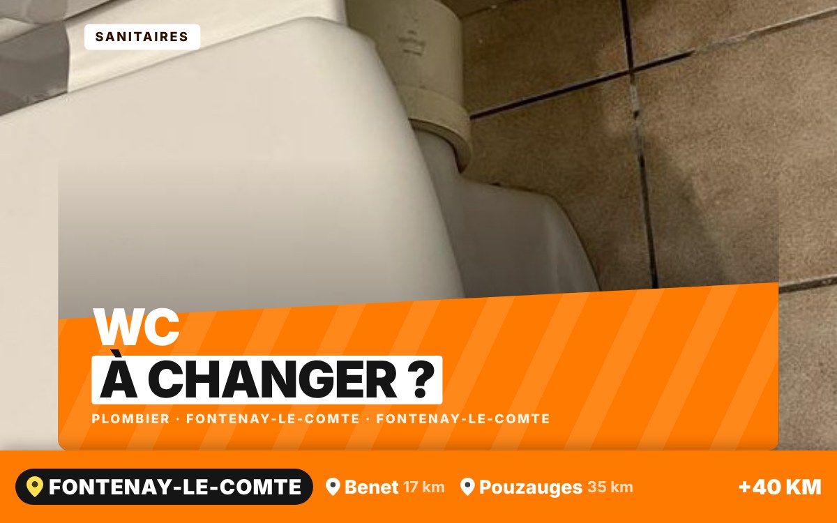 Je vais remplacer vos WC à Niort