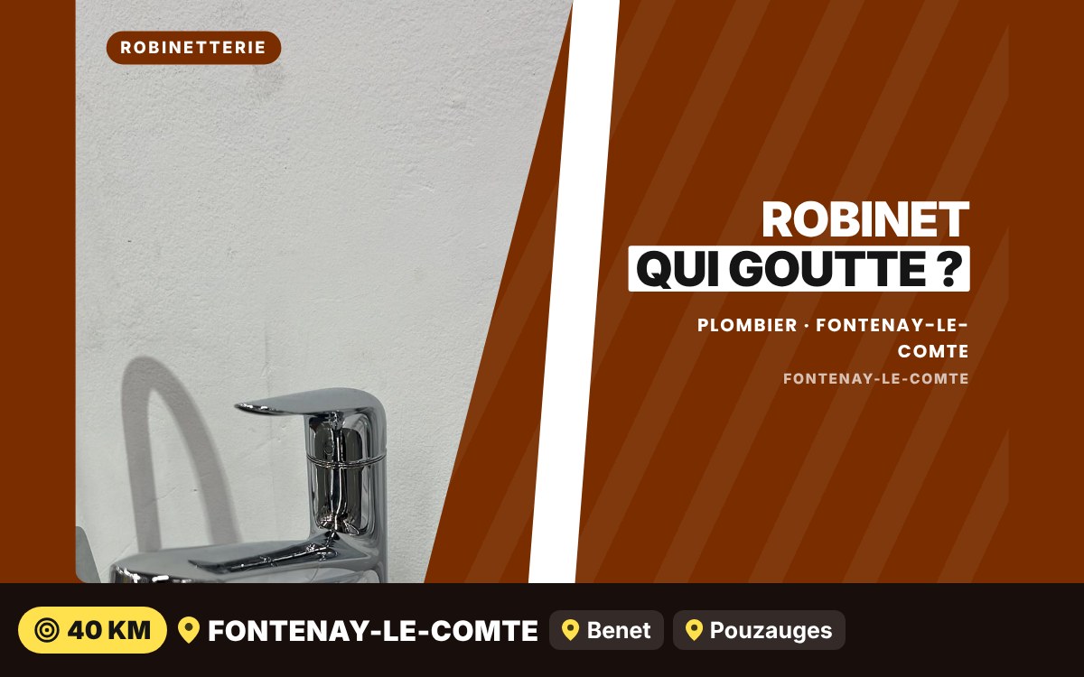 Je vais remplacer votre robinet ou votre mitigeur à Niort