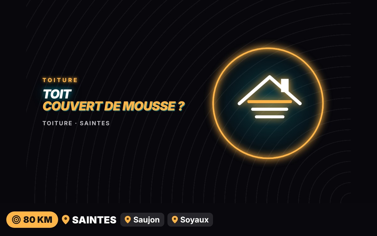 Notre équipe va démousser et nettoyer votre toiture à Niort