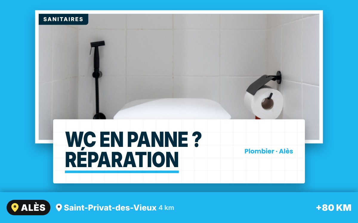 Notre équipe va réparer vos WC à Montpellier