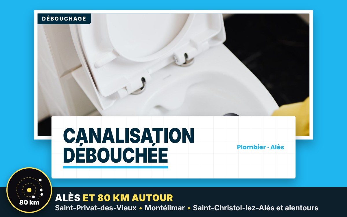 Notre équipe va déboucher vos WC et canalisations à Montpellier