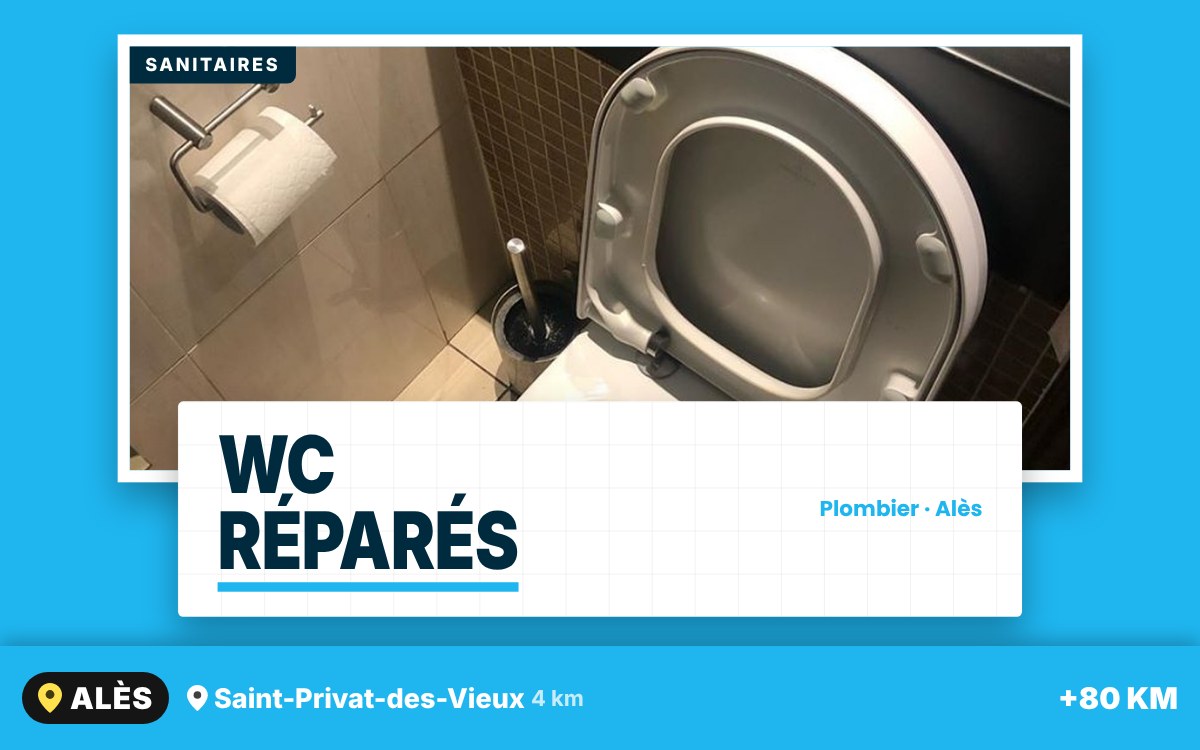 Notre équipe va réparer ou remplacer vos WC à Montpellier