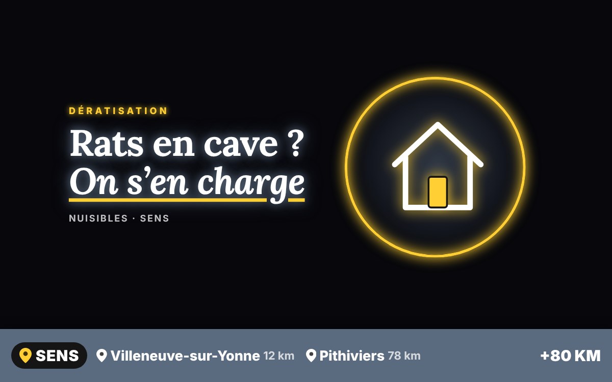 Notre équipe va dératiser votre cave ou votre sous-sol à Sens