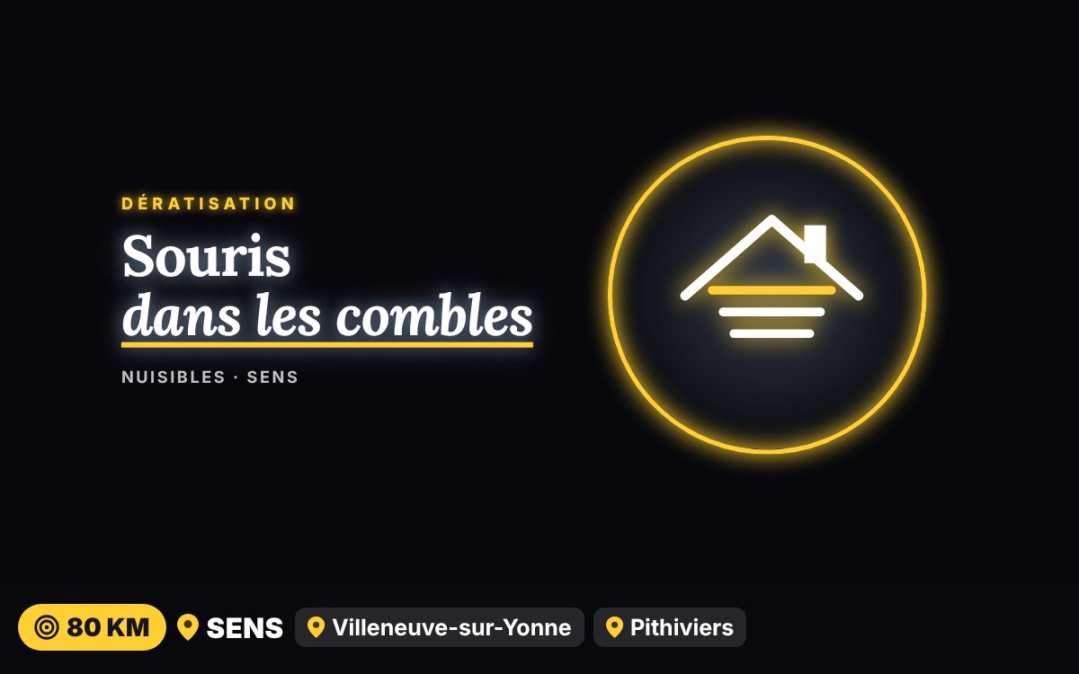 Notre équipe va traiter les souris dans vos combles ou vos cloisons à Sens