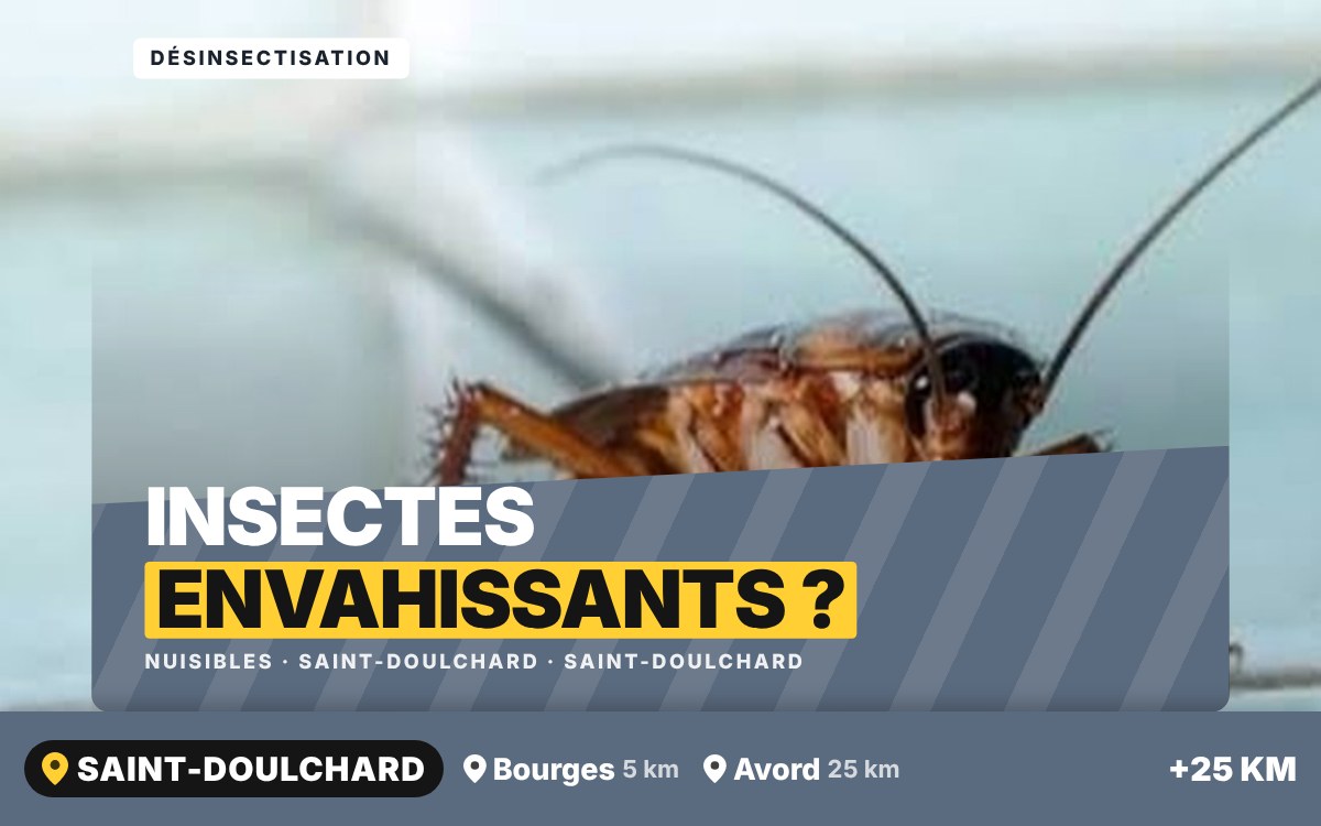 Je vais vous débarrasser des cafards et des punaises de lit à Bourges