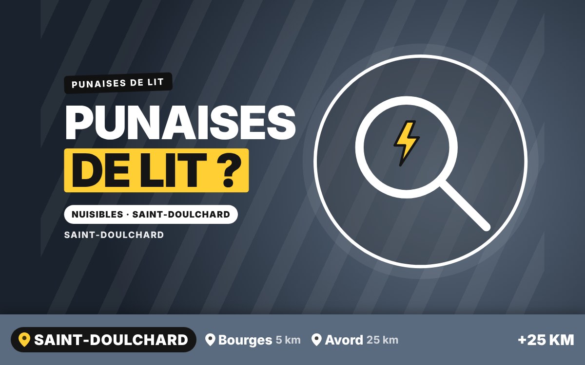 Je vais traiter les punaises de lit et nettoyer votre matelas à Bourges