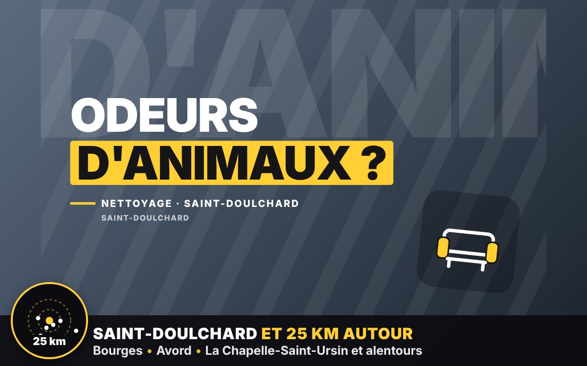 Je vais éliminer les odeurs d'animaux sur votre canapé et vos tapis à Bourges