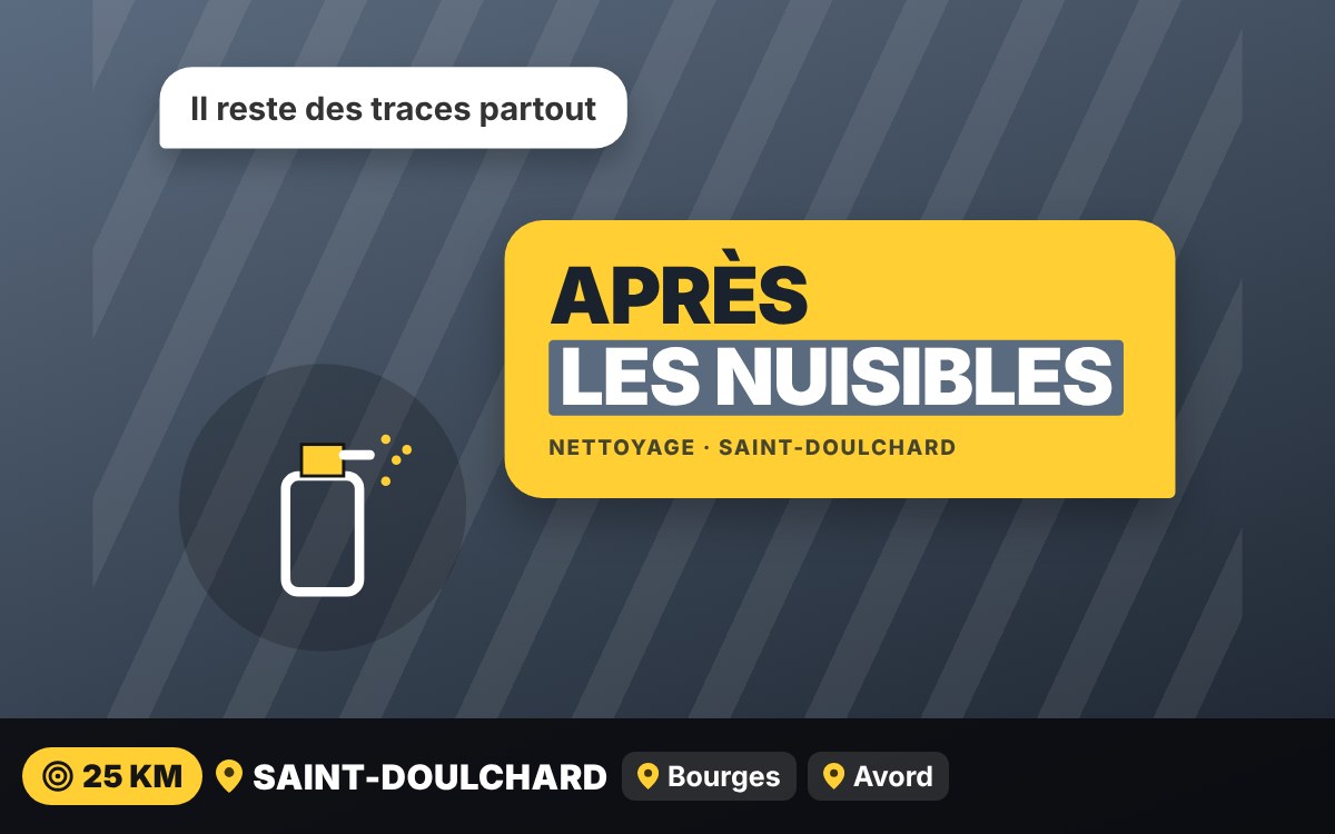 Je vais désinfecter après le passage des nuisibles à Bourges