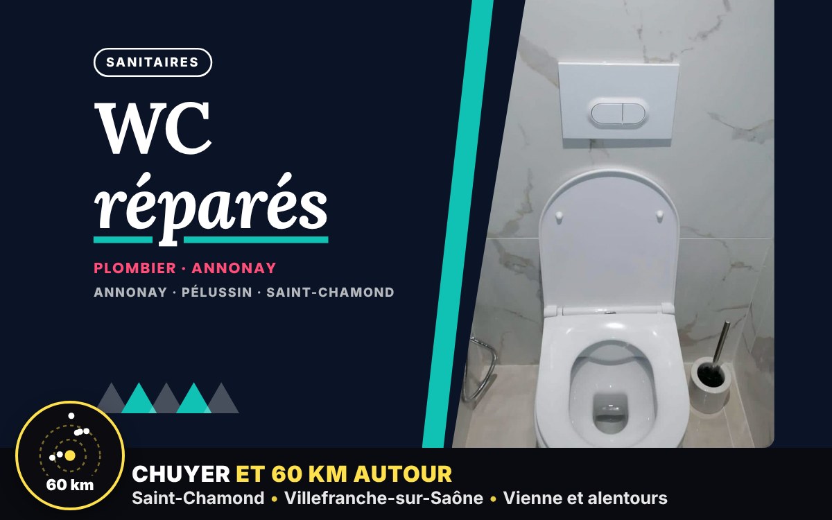 Notre équipe va réparer ou remplacer vos WC à Écully