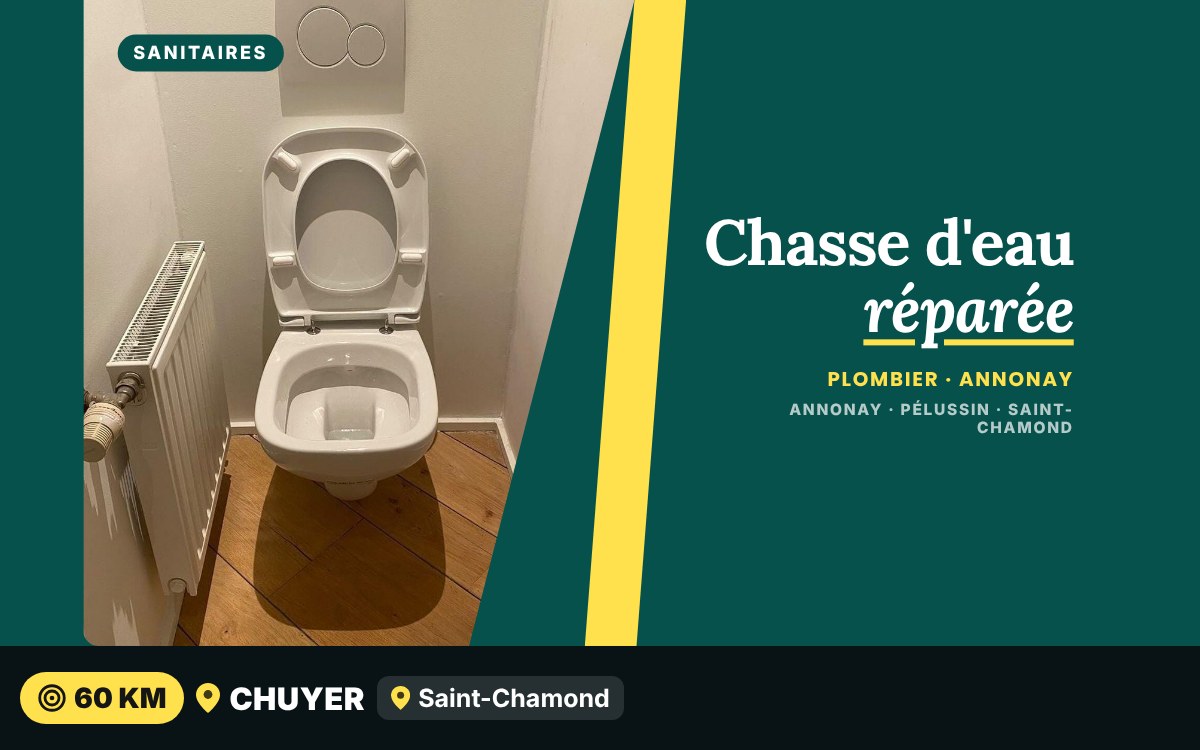 Notre équipe va réparer votre chasse d'eau à Écully