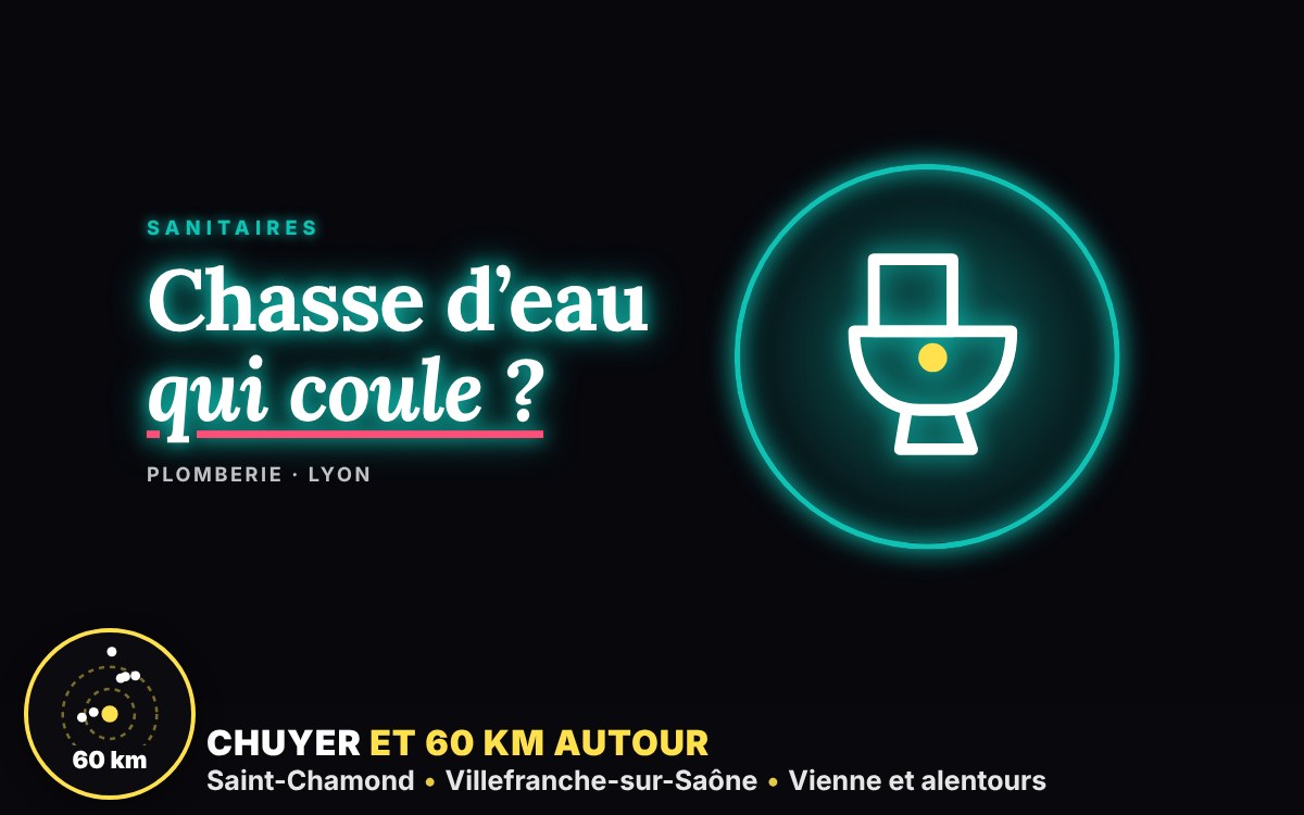 Notre équipe va réparer votre chasse d’eau qui coule en continu à Écully
