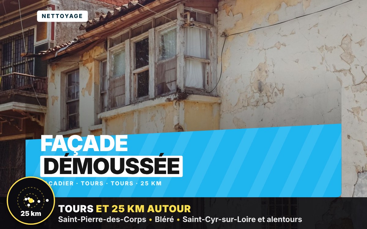 Je vais démousser votre façade à Tours