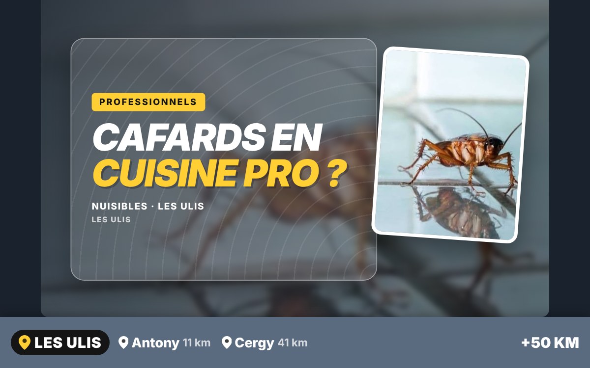 Je vais vous débarrasser des cafards dans votre restaurant ou commerce à Melun