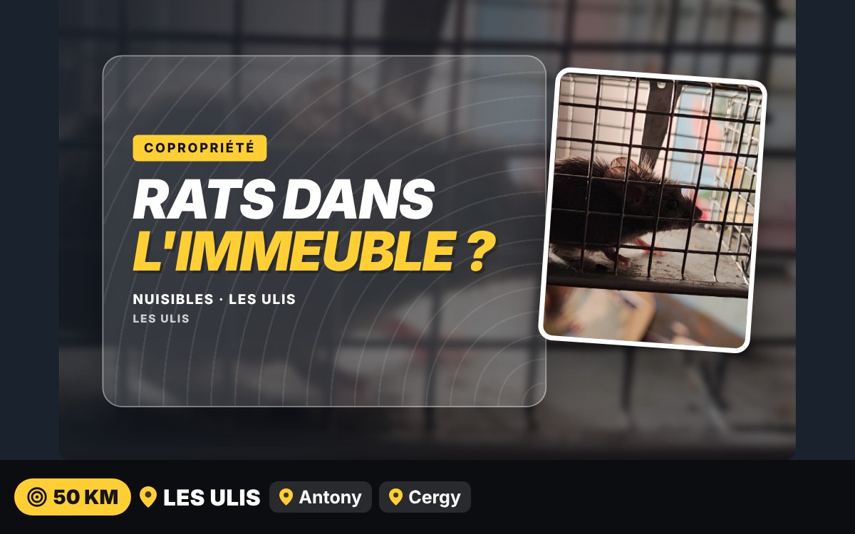 Je vais vous débarrasser des rats dans vos caves et parties communes à Melun