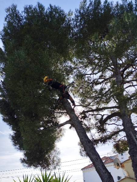 Esteban G. — jardinier paysagiste à Nice
