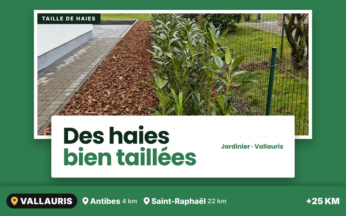 Je vais tailler vos haies à Nice