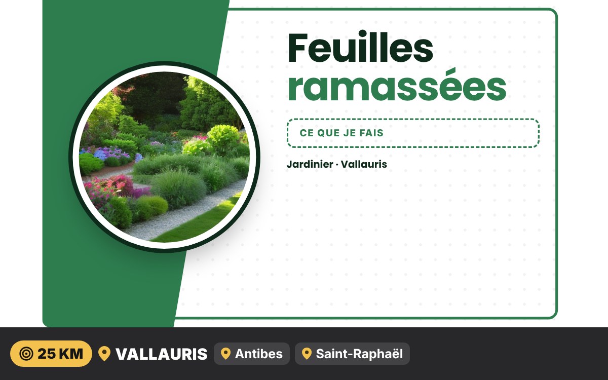 Je vais ramasser vos feuilles mortes à Nice