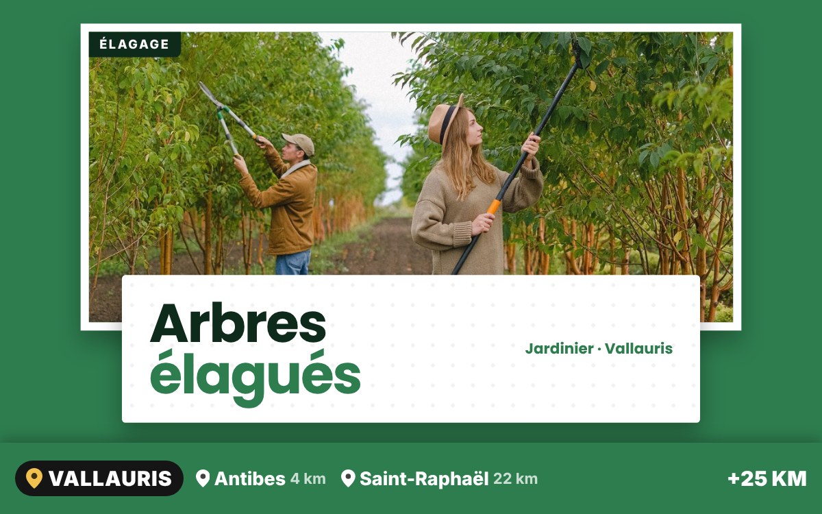 Je vais élaguer vos arbres à Nice