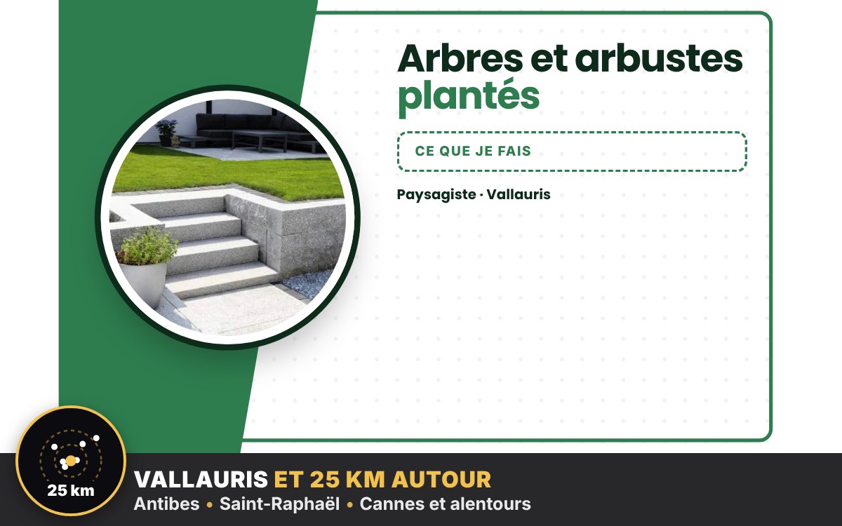 Je vais planter vos arbres et arbustes à Nice