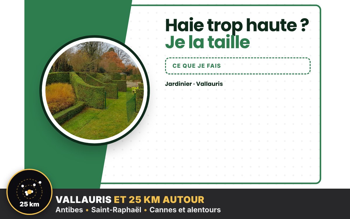 Je vais tailler vos grandes haies à Nice