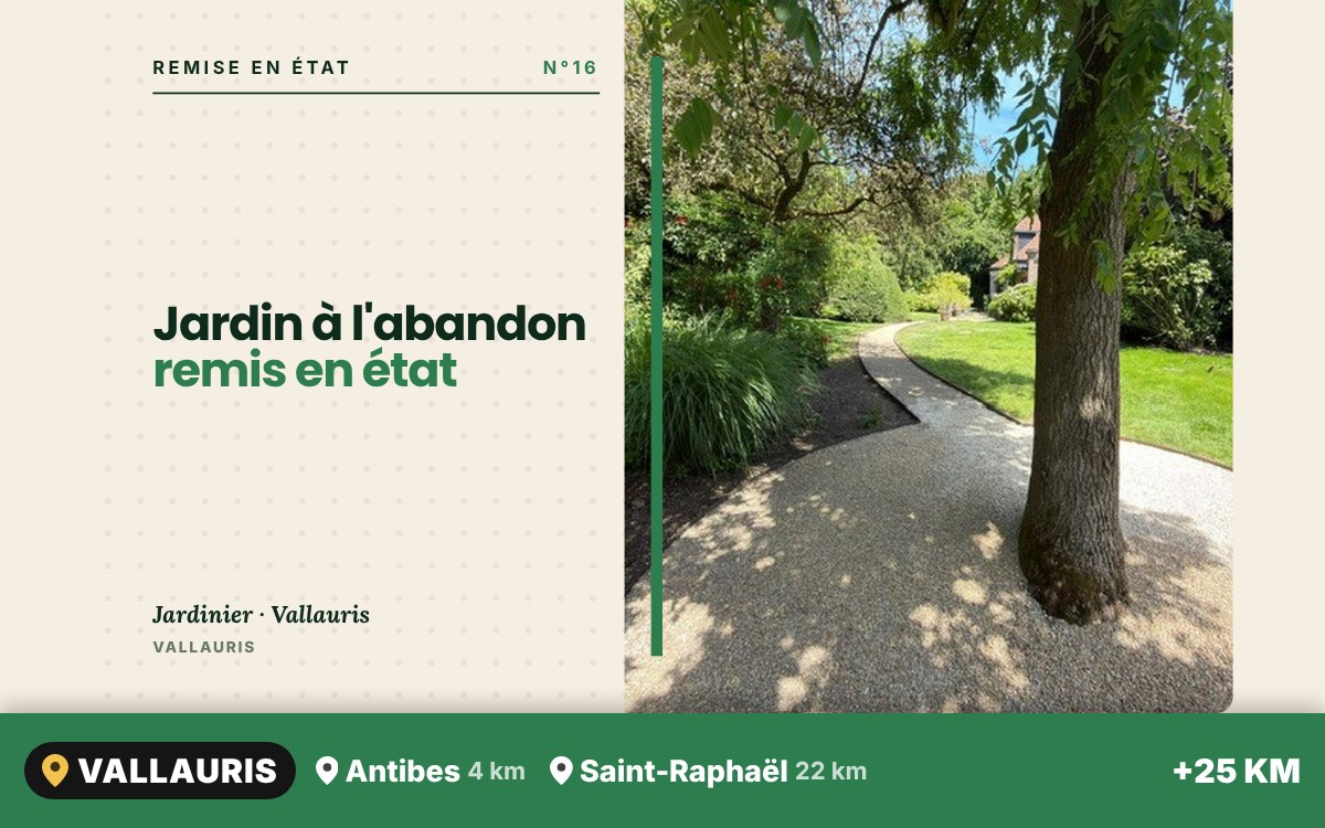 Je vais remettre en état votre jardin à l'abandon à Nice