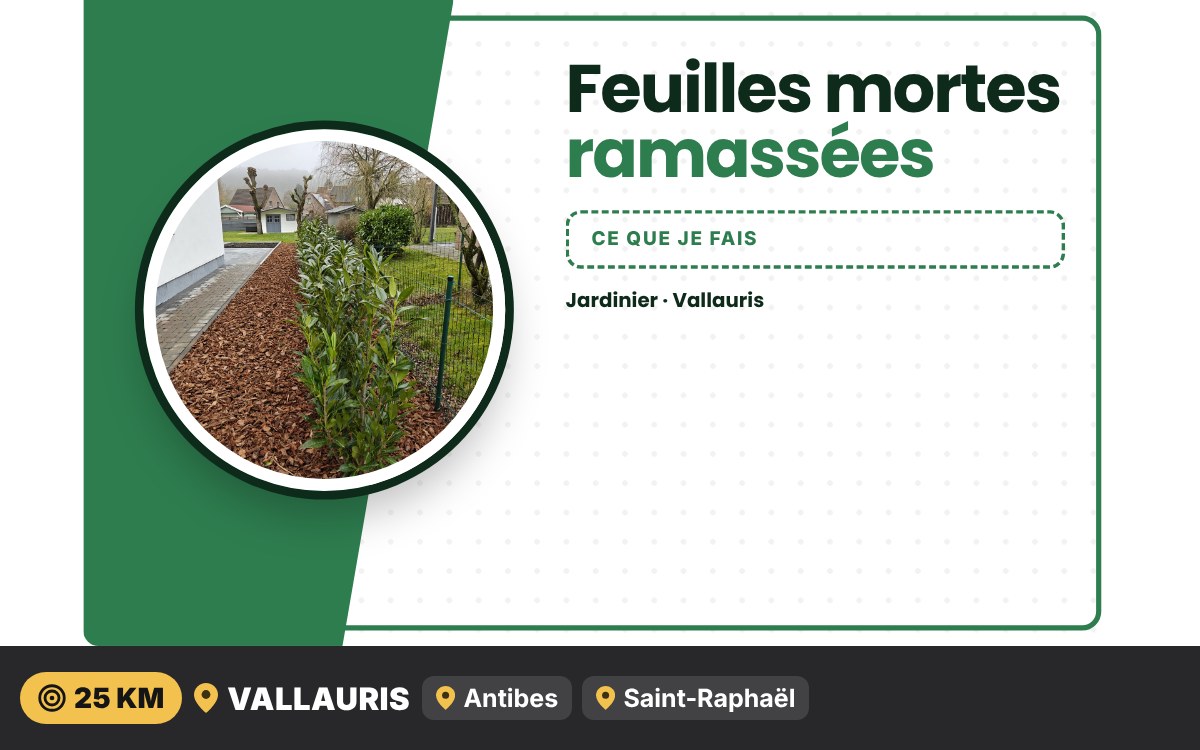 Je vais ramasser les feuilles de votre jardin à Nice