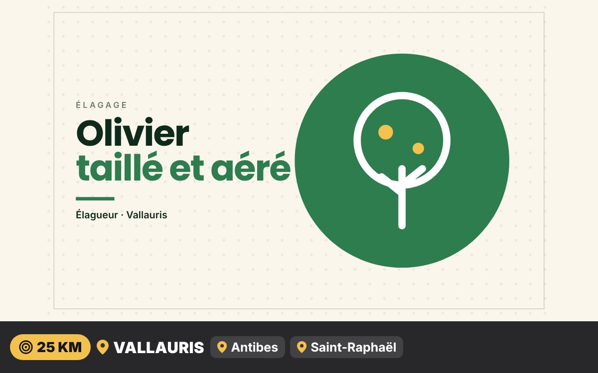 Je vais tailler votre olivier à Nice
