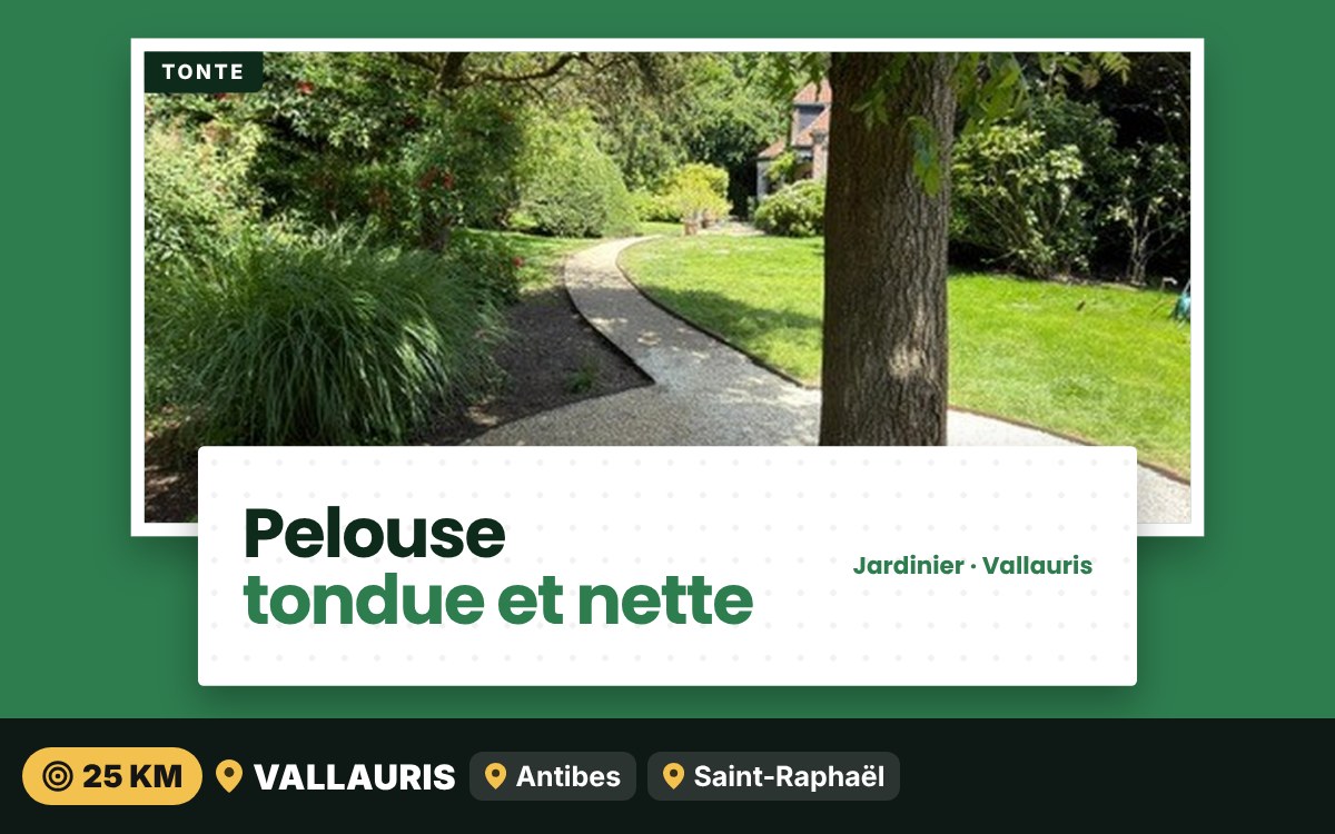 Je vais tondre votre pelouse à Nice
