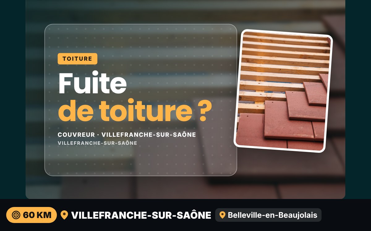 Je vais réparer votre fuite de toiture à Écully