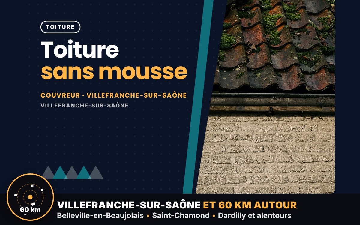 Je vais démousser votre toiture à Écully