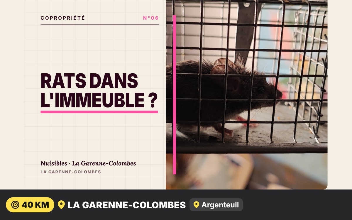 Je vais dératiser votre copropriété à Méru