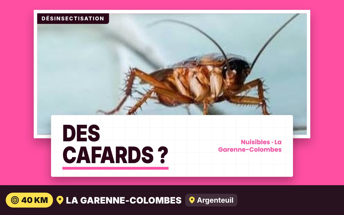 Je vais vous débarrasser des cafards à Paris