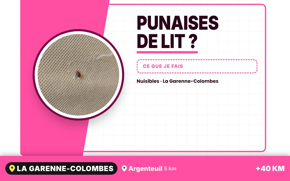 Je vais vous débarrasser des punaises de lit à Paris