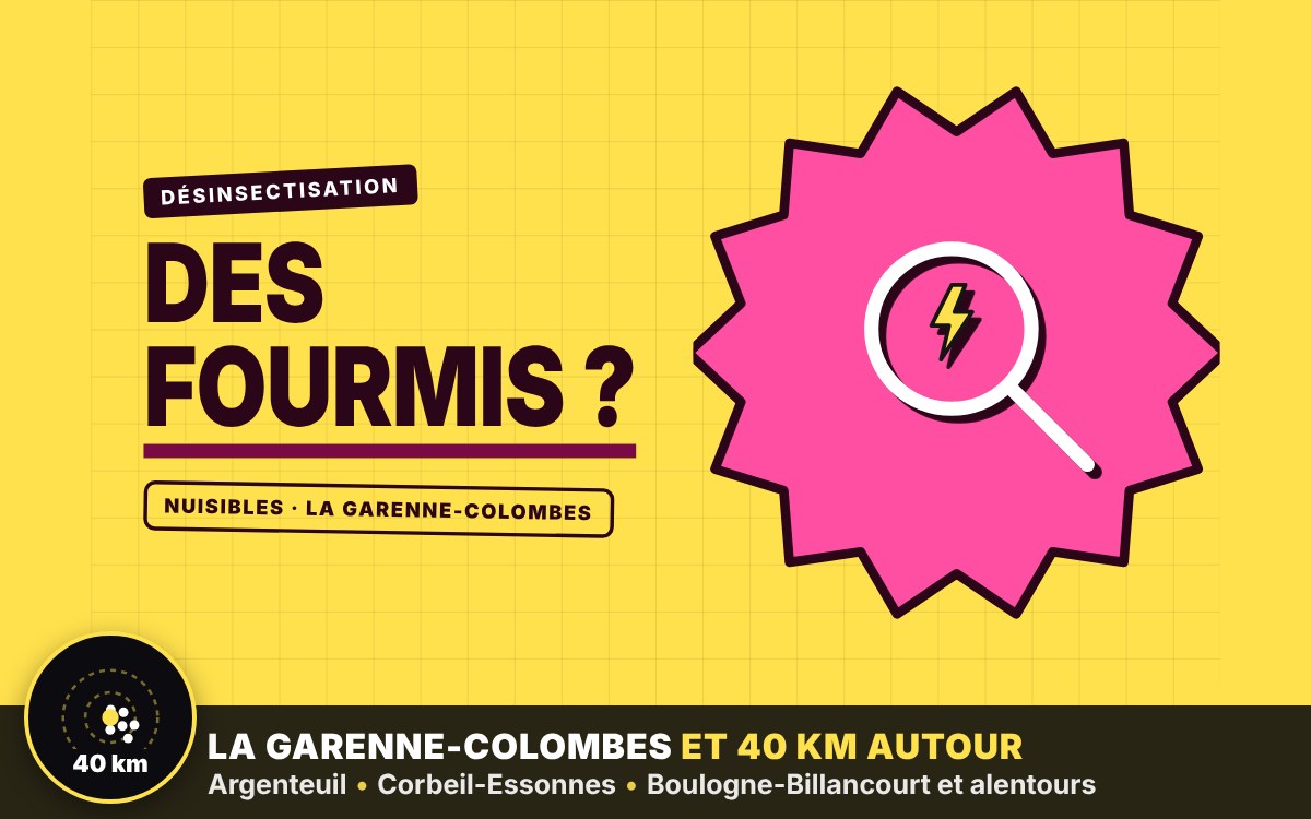 Je vais vous débarrasser de l'invasion de fourmis à Méru