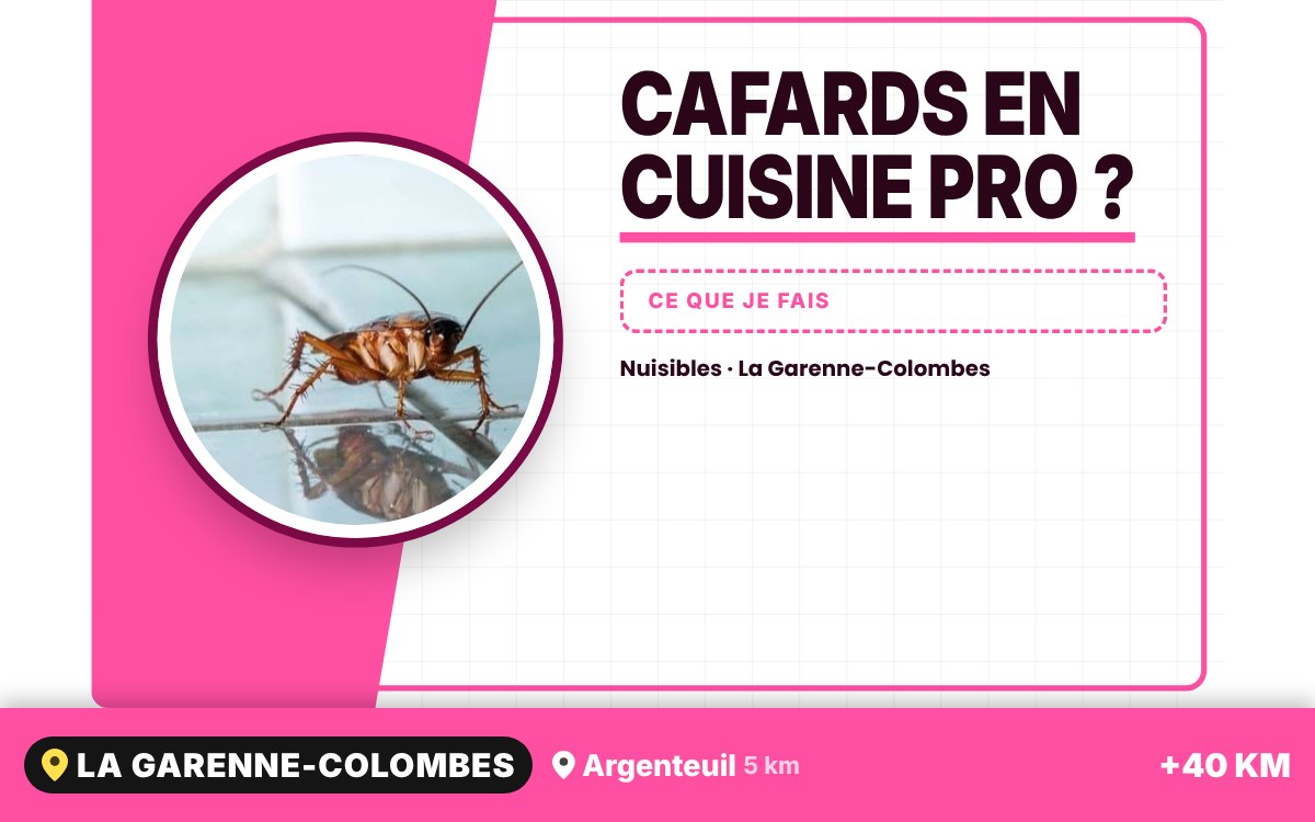 Je vais éliminer les cafards de votre restaurant ou commerce alimentaire à Méru