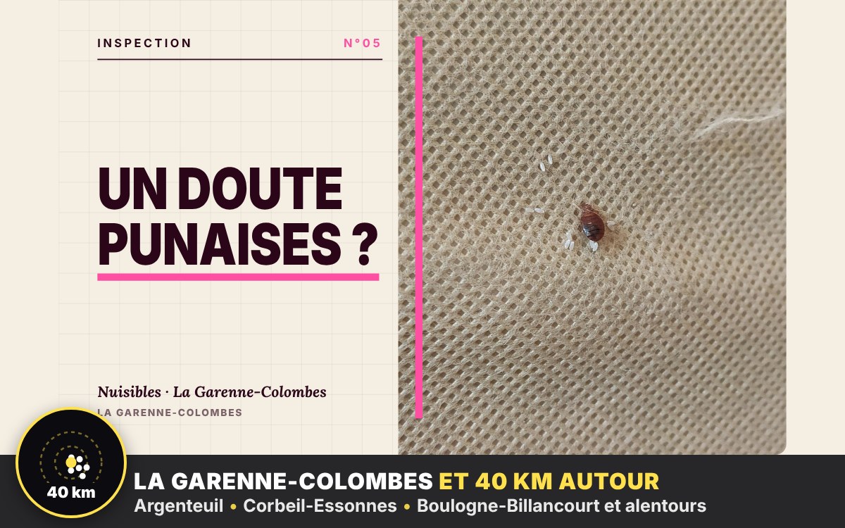 Je vais rechercher les punaises de lit chez vous à Pontoise