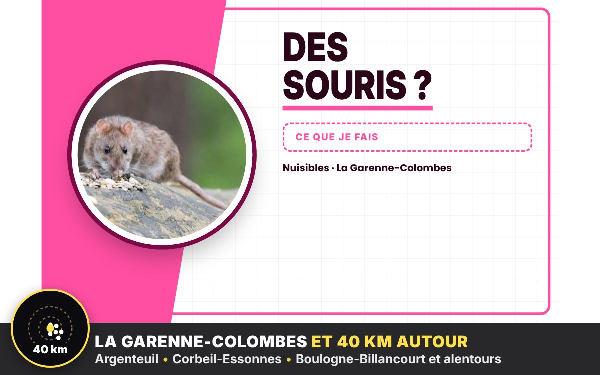 Je vais vous débarrasser des souris à Paris