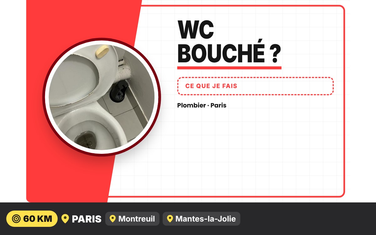 Je vais déboucher vos WC à Paris