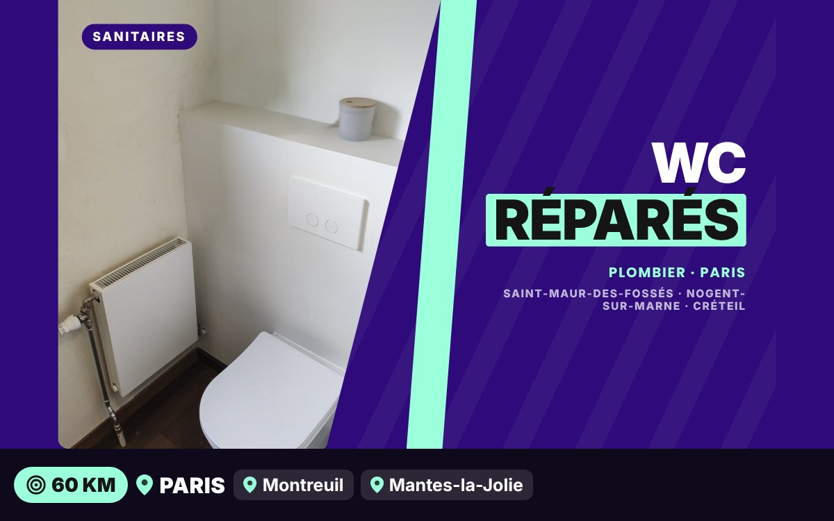 Je vais réparer ou remplacer vos WC à Paris
