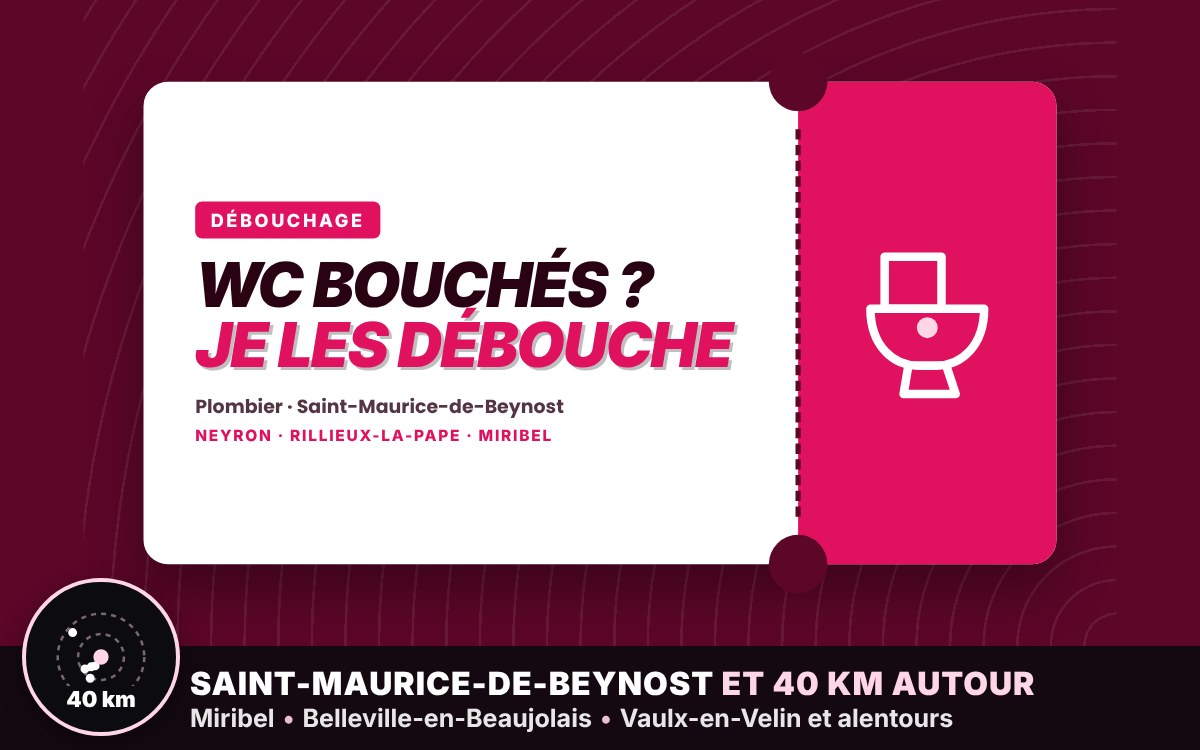 Je vais déboucher vos toilettes bouchées à Écully